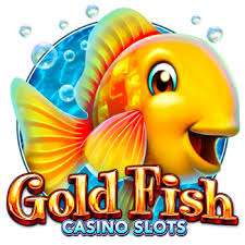 골드피쉬 도메인 안전한 접속과 관리 팁 골드피쉬 도메인 안전한 접속과 관리 팁