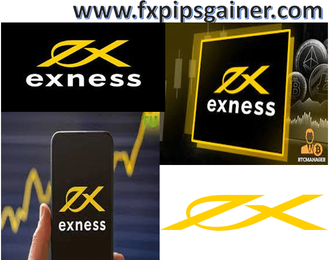 Ultimate Guide to Exness App For Android